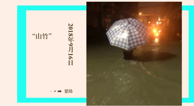 “山竹”芳村茶商损失过百亿，后该何去何从