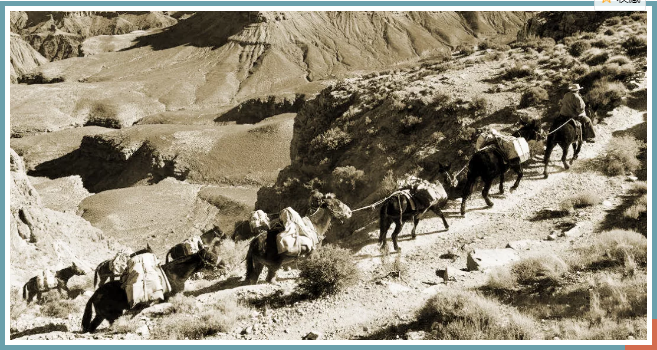 茶叶学堂 || 存放方法正确的茶方能越陈越香