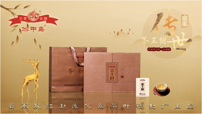 冰中岛 || 冰岛茶王树山野的灵动